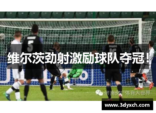 维尔茨劲射激励球队夺冠！